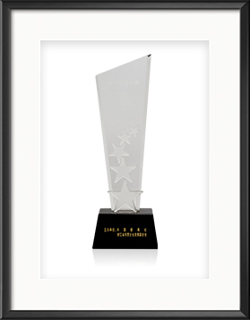 2017創(chuàng)客大賽冠軍